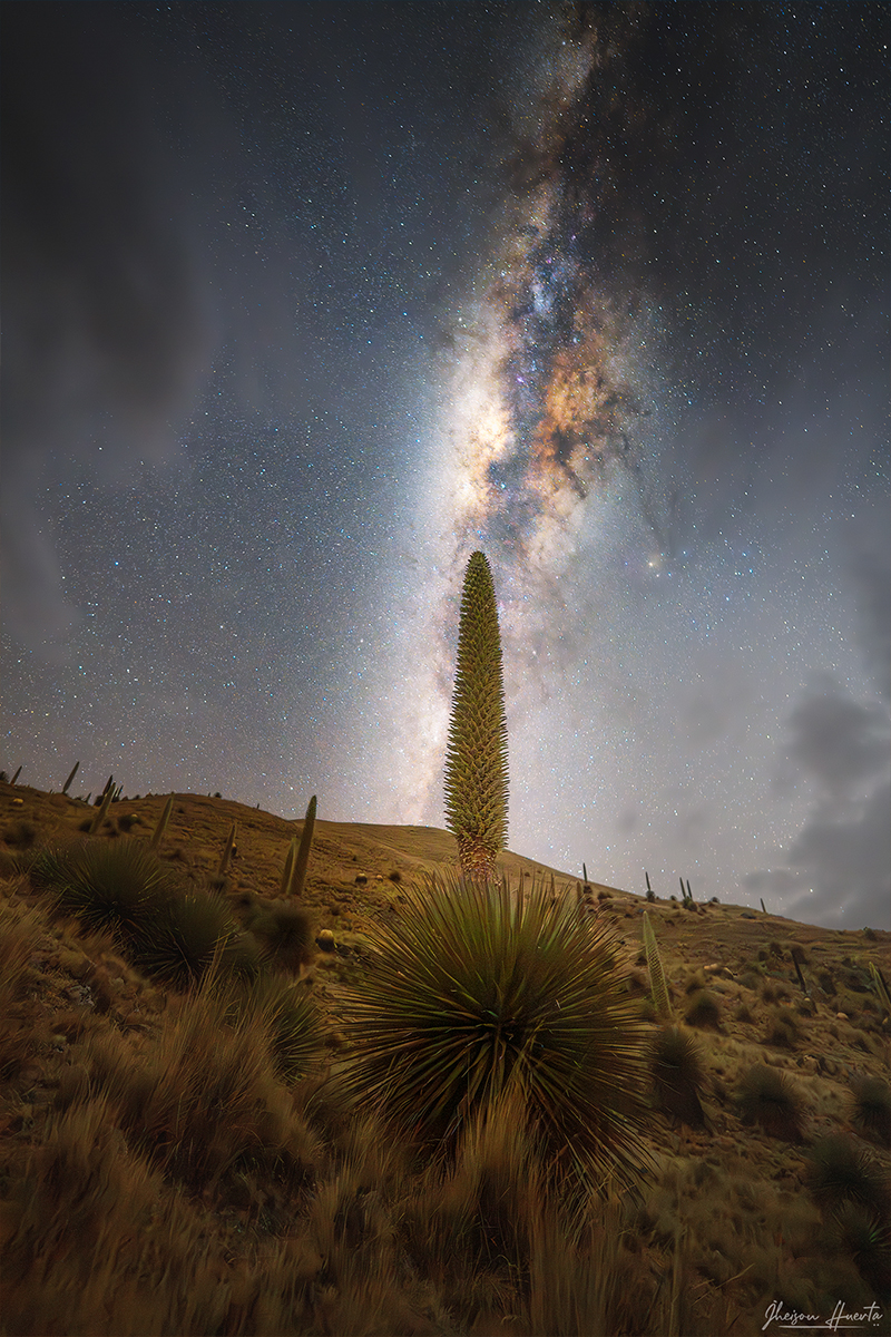 puyaraimondi-vialactea-01-web