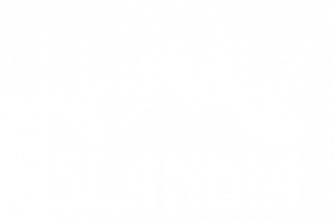 logo-islandia-web-2026
